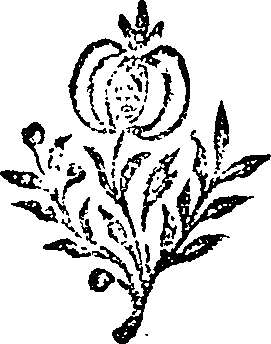 043/043680070201650_0.png