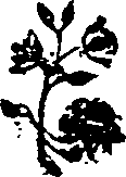 043/043680070201980_0.png