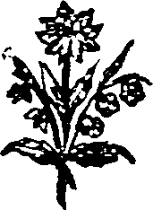 043/043680070202870_0.png