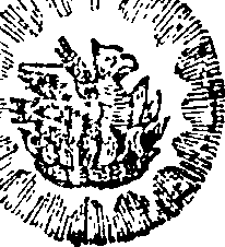 043/043680090001220_0.png