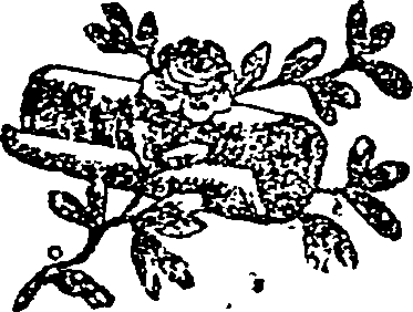 043/043720050102050_0.png