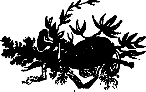 043/043780050000020_0.png