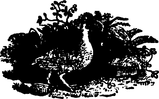 043/043780050000160_0.png