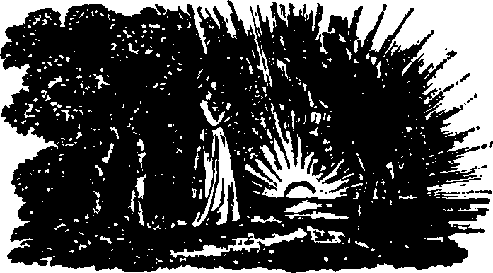 043/043780050000250_0.png