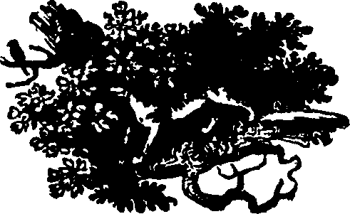 043/043780050000670_0.png