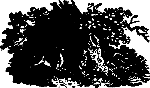 043/043780050000840_0.png