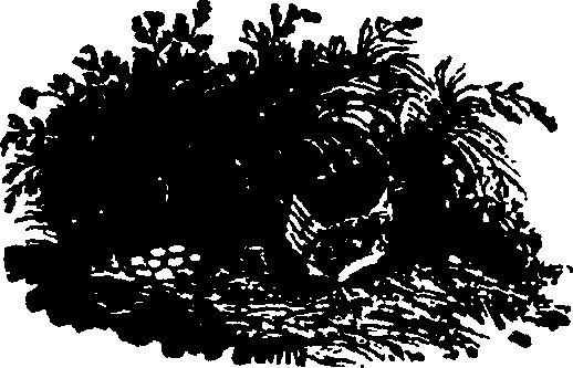 043/043780050000990_0.png
