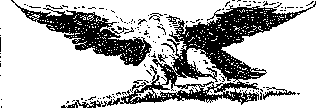 043/043920060102920_0.png