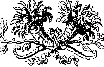 043/043920060201090_0.png