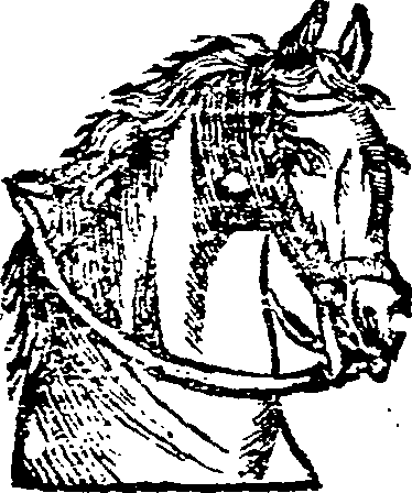 044/044350050000100_0.png