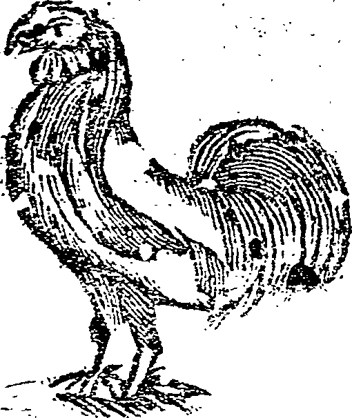 044/044350060000050_0.png
