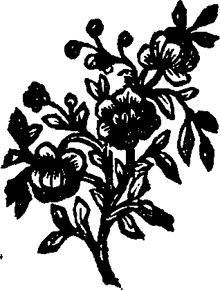 044/044400010201360_0.png