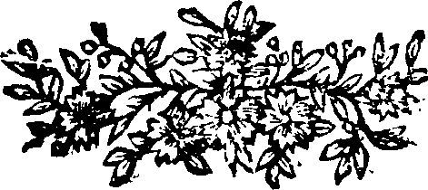 044/044400010300410_0.png
