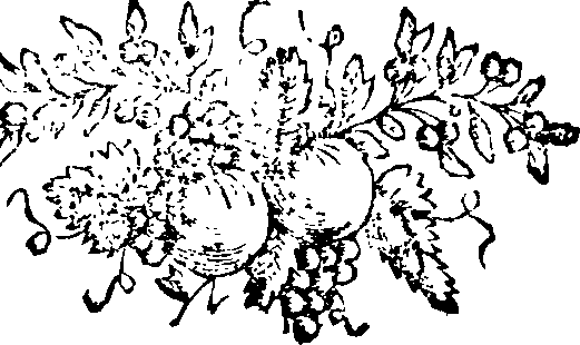 044/044400010300700_0.png