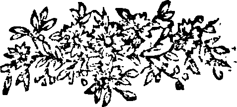 044/044400010300830_0.png
