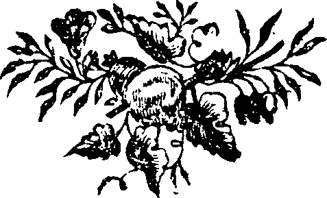 044/044400010301370_0.png
