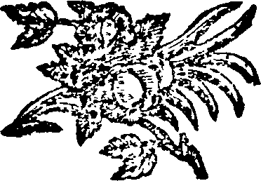 044/044400010301710_0.png