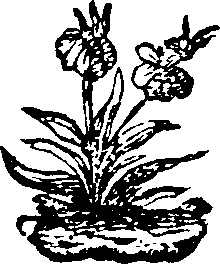 044/044400010302750_0.png