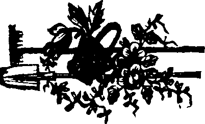044/044400020300010_0.png