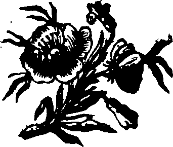 044/044400020300110_0.png