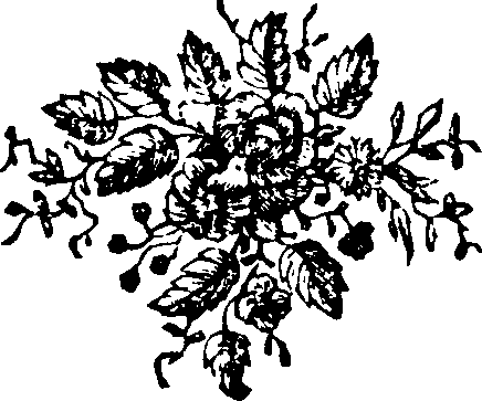 044/044400020300480_0.png