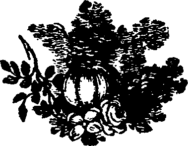 044/044410040001980_0.png