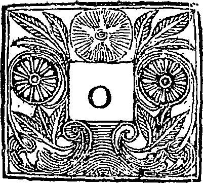 044/044580020000020_0.png