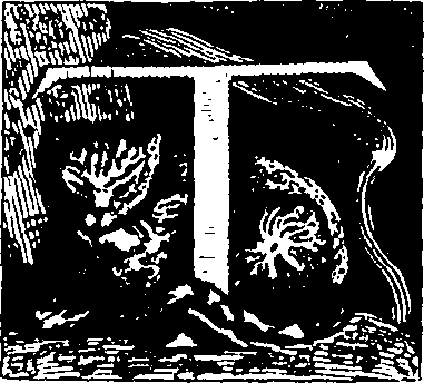 044/044750020000170_0.png