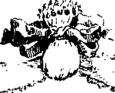 044/044750020000350_1.png