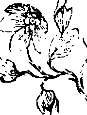 044/044910110000510_0.png