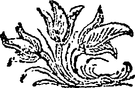 044/044920340000010_0.png