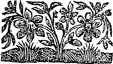 045/045080050100020_0.png