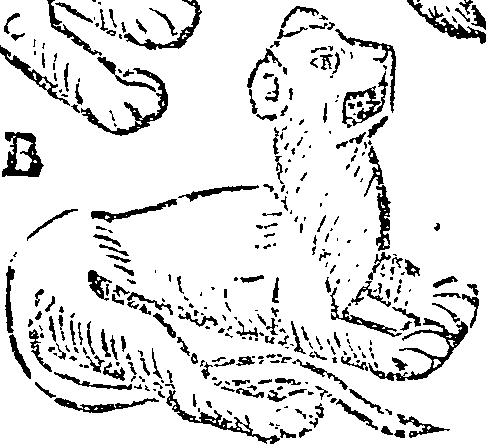 045/045110020001000_0.png