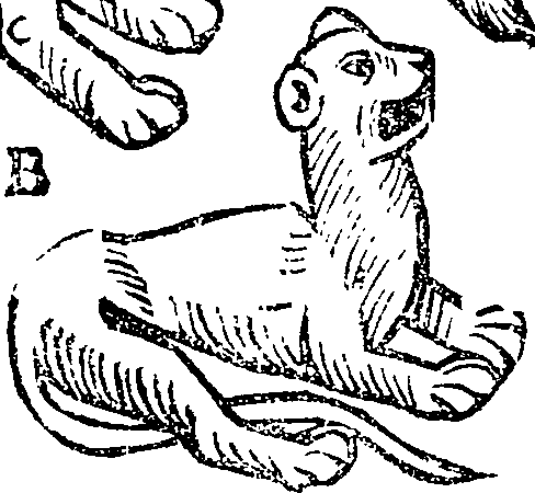 045/045110020001490_0.png