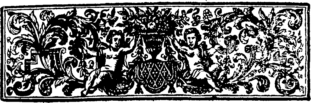 045/045130080000780_0.png