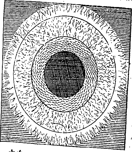 045/045200010002630_0.png