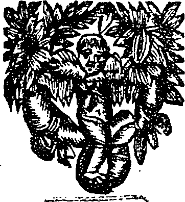 045/045200060005310_0.png