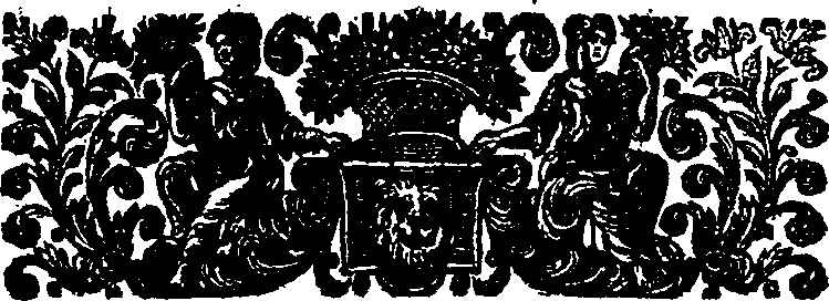 045/045250020000310_2.png