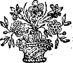 045/045270020202540_0.png
