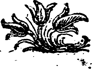 045/045280030005220_0.png