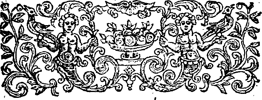 045/045280050000030_1.png