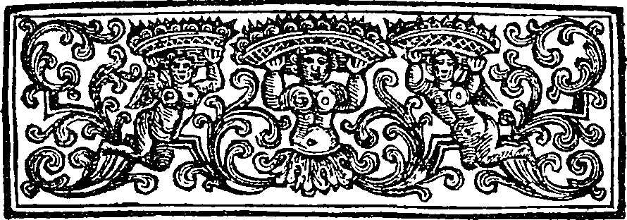 045/045300120100460_1.png