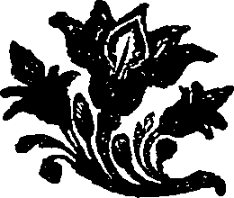 045/045330090000600_0.png