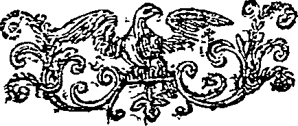 045/045350010101010_0.png