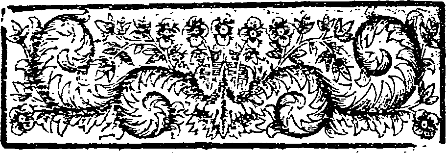 045/045400120000080_1.png