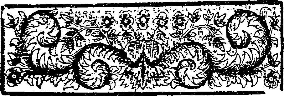 045/045400120000380_1.png