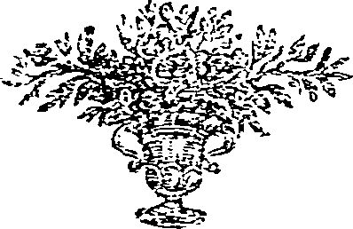 045/045400240000370_0.png