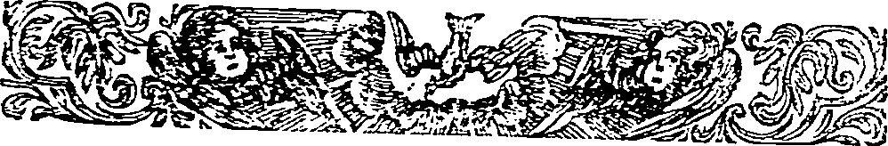 045/045400240000530_1.png