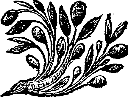 045/045480150000570_0.png