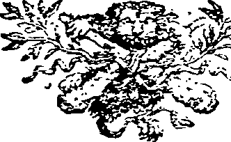 045/045630080100200_0.png